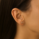 PIERCING EAR ZIRCONIA AND BALLS ADVA
