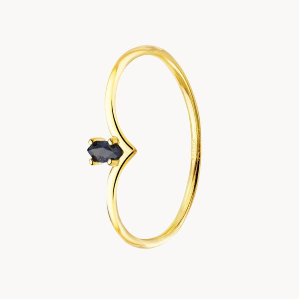 Anillo Oro 18 kt con zafiro Paule