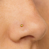 PIERCING NOSE SMOOTH BALL SIGRID