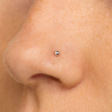 PIERCING NOSE SMOOTH BALL SIGRID