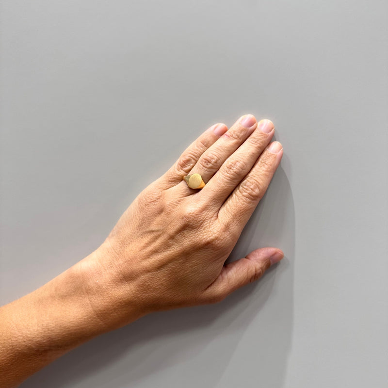 ANILLO SELLO ERNA
