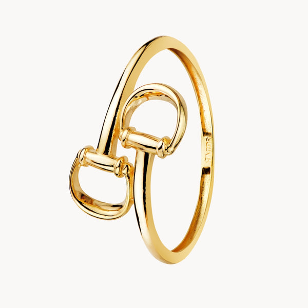 ANILLO DOBLE ANILLA ENLAZADA