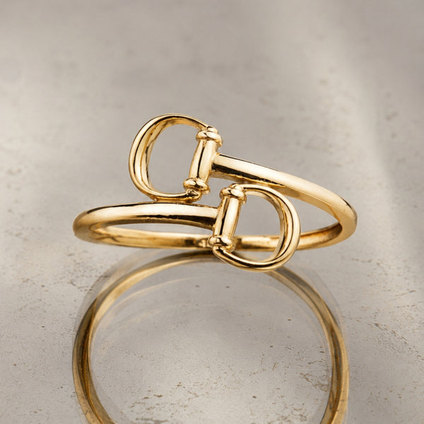 ANILLO DOBLE ANILLA ENLAZADA