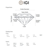 Pendente de Diamante Criado 1,030 Quilate Gota Certificado IGI