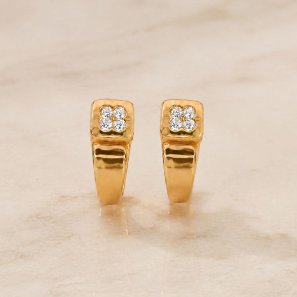 PENDIENTES CON CIRCONITAS ALANNAH