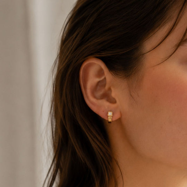 PENDIENTES CON CIRCONITAS ALANNAH