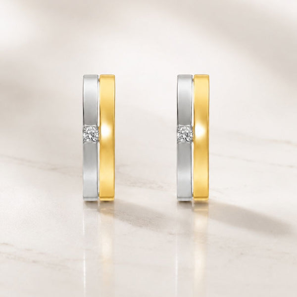 PENDIENTES BICOLOR CON CIRCONITAS RASHA
