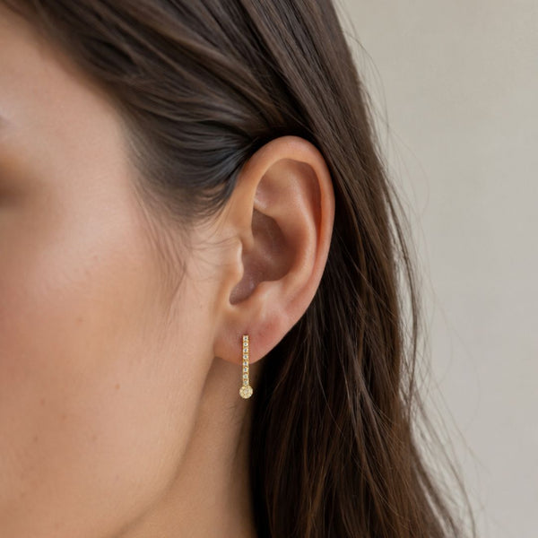 PENDIENTES LARGOS CON CIRCONITAS HULDA