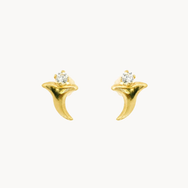 PENDIENTES CIRCONITAS BLANCAS TERRIE