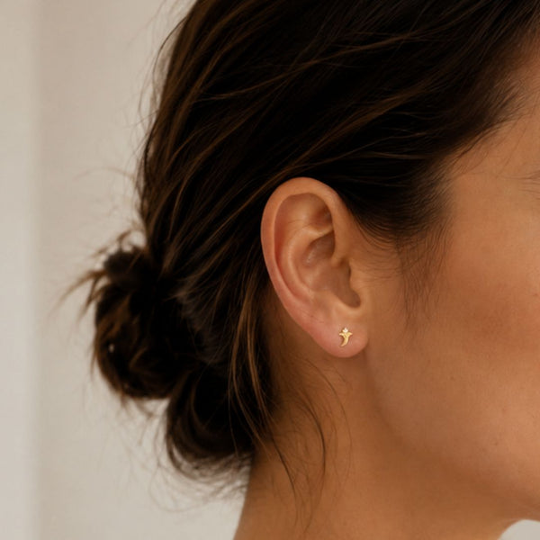 PENDIENTES CIRCONITAS BLANCAS TERRIE
