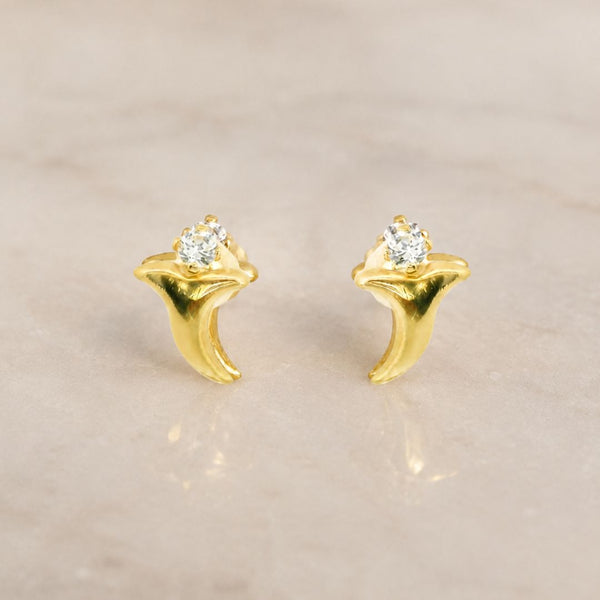 PENDIENTES CIRCONITAS BLANCAS TERRIE