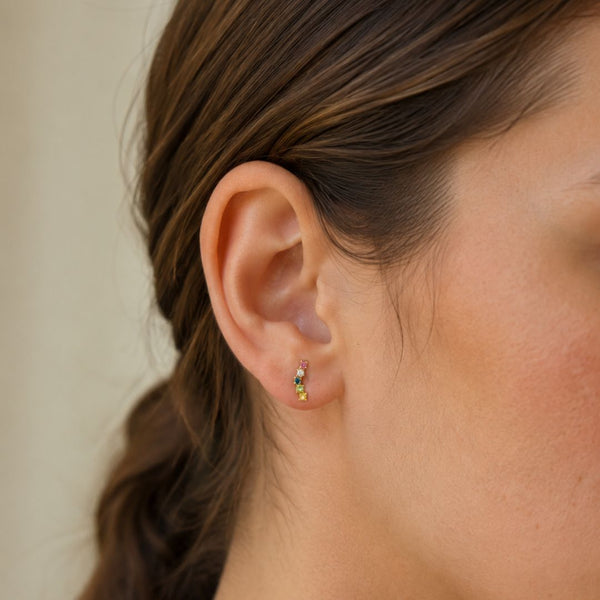 PENDIENTES TREPADORES CON CIRCONITAS ISSY