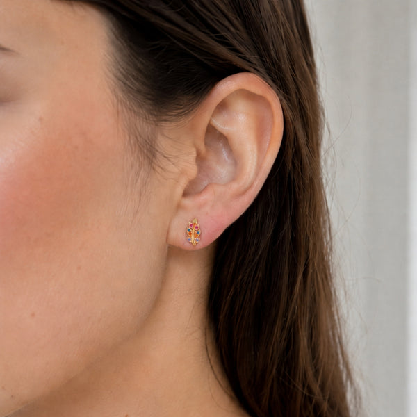PENDIENTES TREPADORES RAMAS CON CIRCONITAS