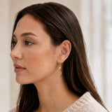 PENDIENTES LARGOS CON CIRCONITAS BLAKE