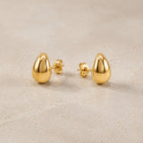 PENDIENTES GOTA ILENA