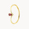 ANILLO CON RUBI PAULE