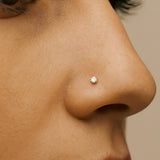 PIERCING NARIZ CIRCONITA EN GARRAS NAIMA