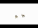 EARRINGS WITH DIAMOND CLAWS 0.14 CARATS MICHELLE